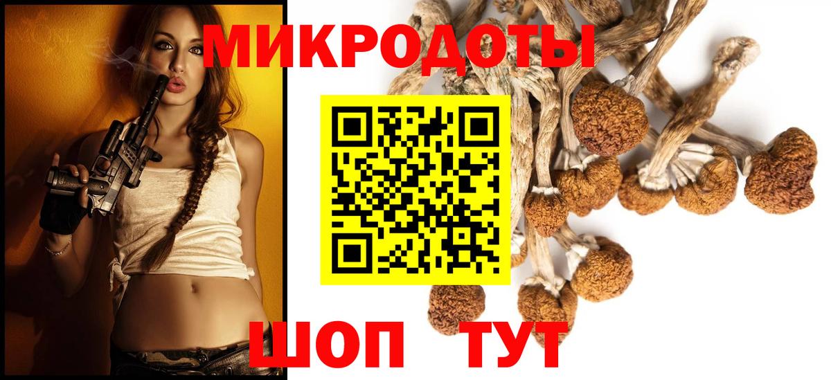 Зеленодольск  Псилоцибиновые грибы Psilocybine cubensis  Вход с VPN  Галлюциногенные грибы MAGIC MUSHROOMS 